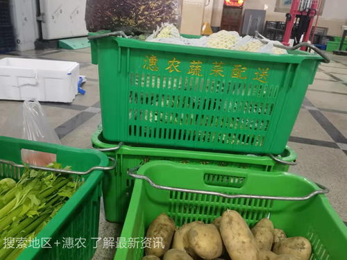 廈門市同安區(qū)蔬菜配送及9月農(nóng)產(chǎn)品供需形勢(shì)與食用農(nóng)產(chǎn)品初加工分析