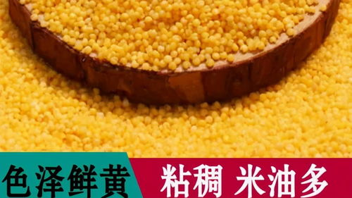 方山縣積翠鄉(xiāng) 消費扶貧月綠色農(nóng)產(chǎn)品展銷與網(wǎng)絡(luò)認(rèn)購活動助力農(nóng)產(chǎn)品初加工升級